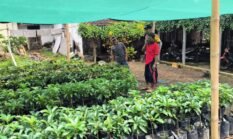berita-pilihan-foto