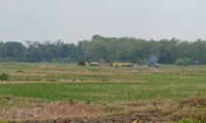 berita-pilihan-foto