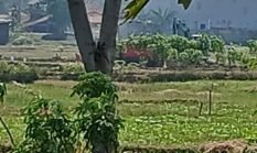 berita-pilihan-foto