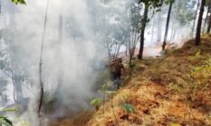 berita-pilihan-foto